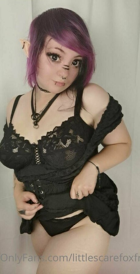 Littlescarefoxfree