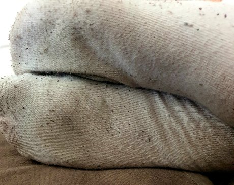 Mistressdevin1