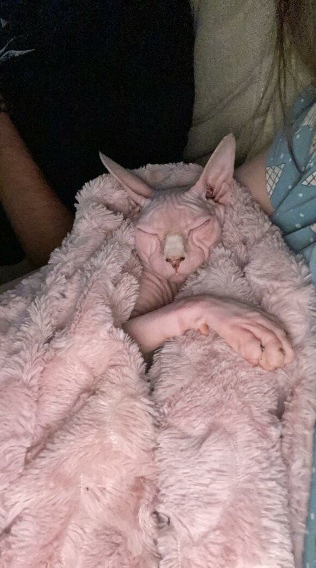 Nahá fotka uniklých OnlyFans od Sxvvk