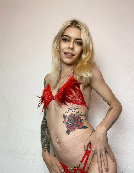 Xlilagreyyfree