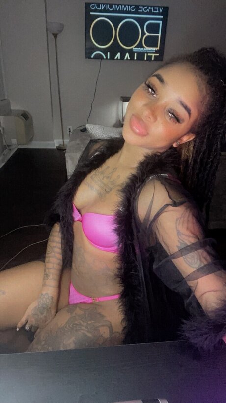 Vegasdior