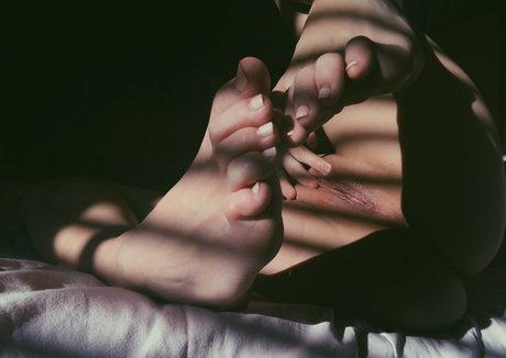 Accioleesi