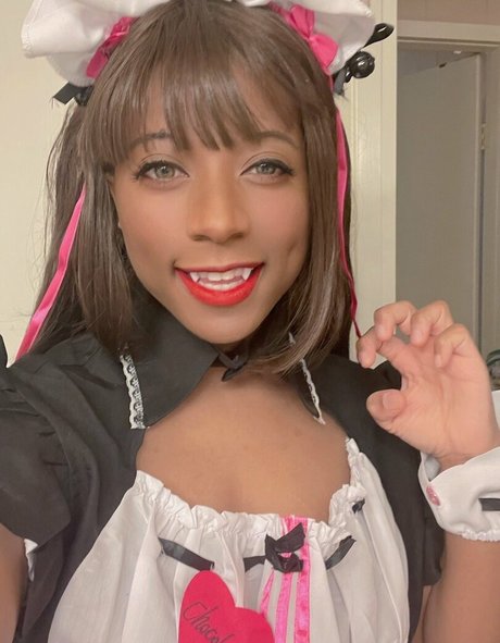 Kittyflutevt