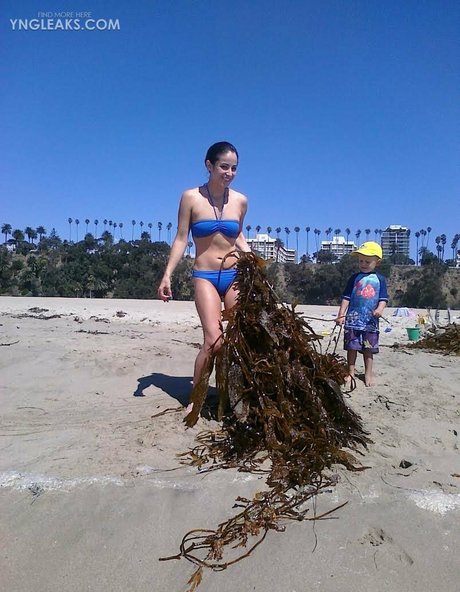 Holly Sedillos