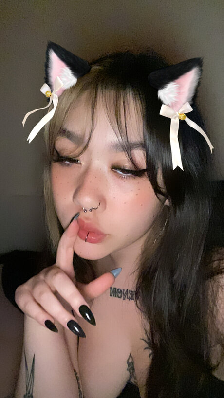 Bunni