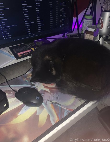 Cutiekatw