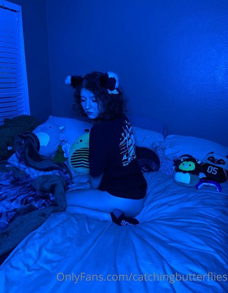 Catchingbutterflies