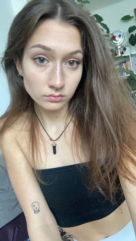 Sinyoursins