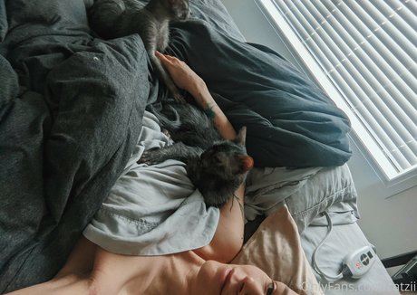 Catziilla