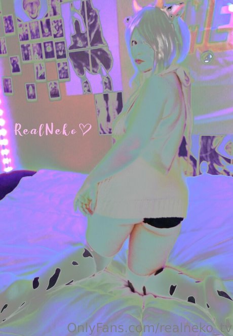 Realnekotv