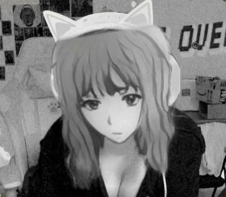 Realnekotv