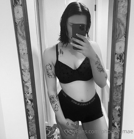 Phoebemae