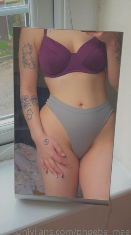 Phoebemae