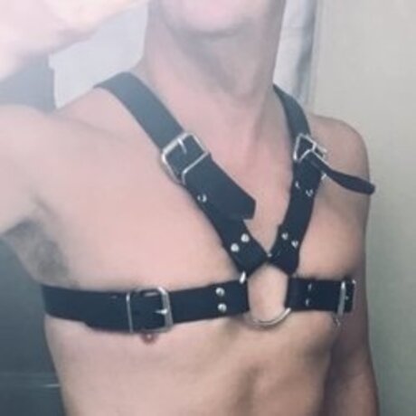 Pup Declan