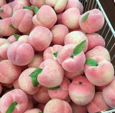 Blanco Peach OnlyFansリークヌード写真