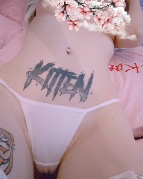 Kitten