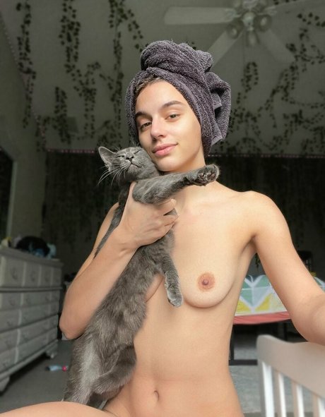 Katchats