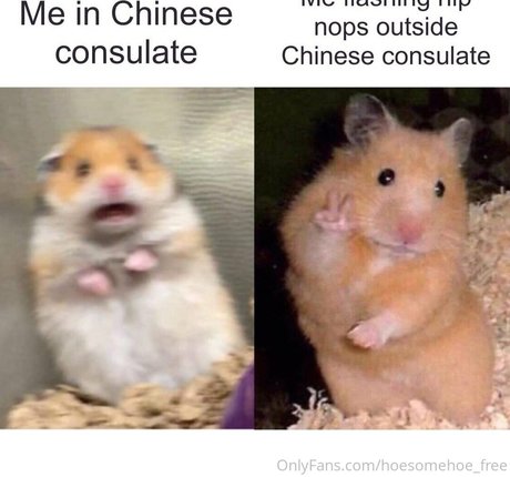 Melissachochangfree