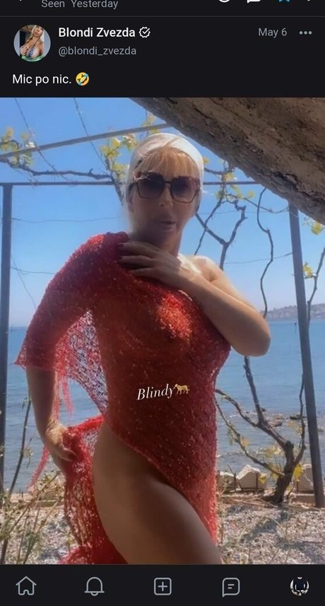 Blondi Zvezda
