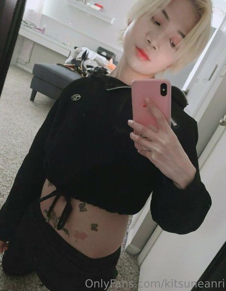 Kitsuneanwi
