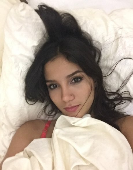 Abiesmith