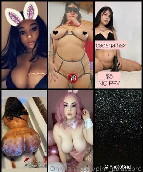 Pinkpalacepro