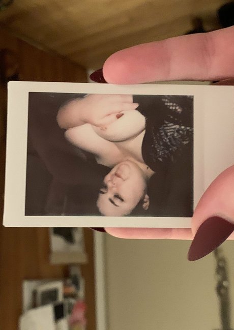Maisonfoxqueen