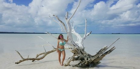 Taylor Z