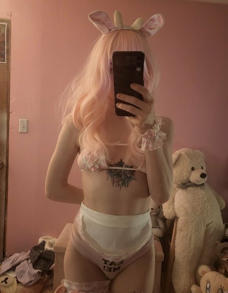 Ursuccubusgf