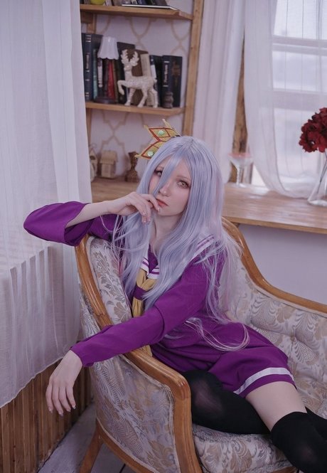 Erodaicon