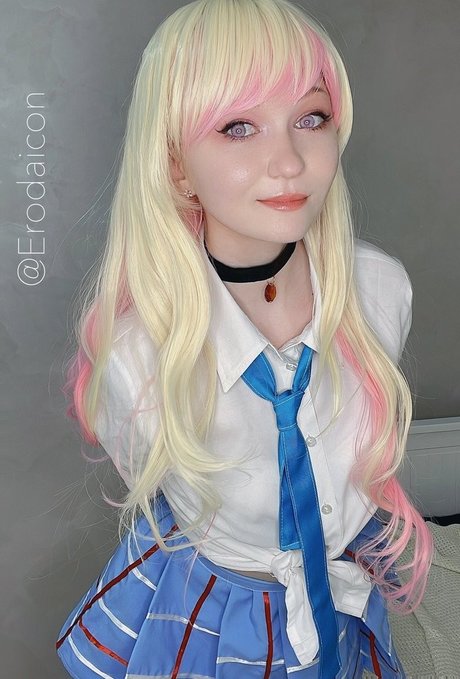 Erodaicon