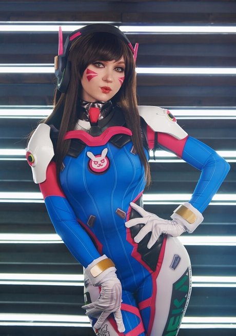 Erodaicon
