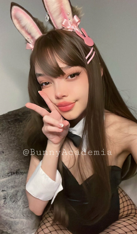 Bunnyacademia