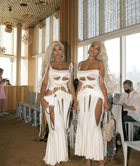 Theclermonttwins