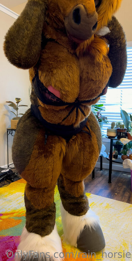 Rainhorsie