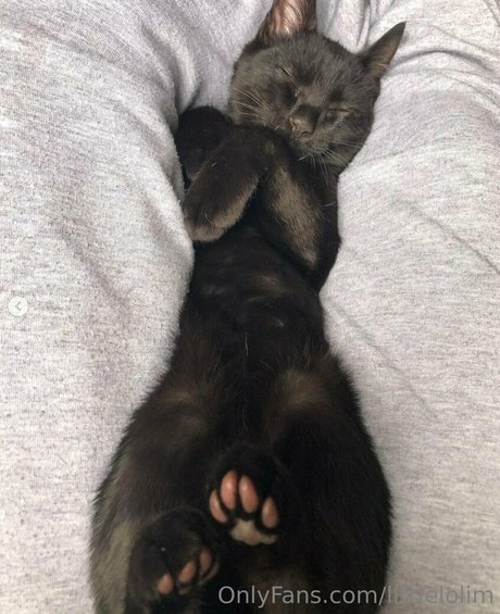 Littlelolim