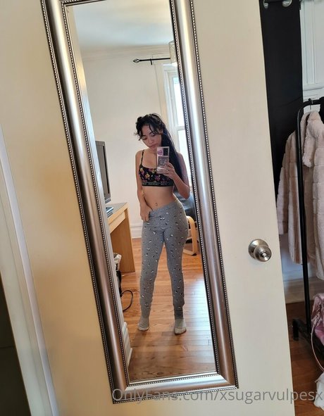 Xsugarvulpesx