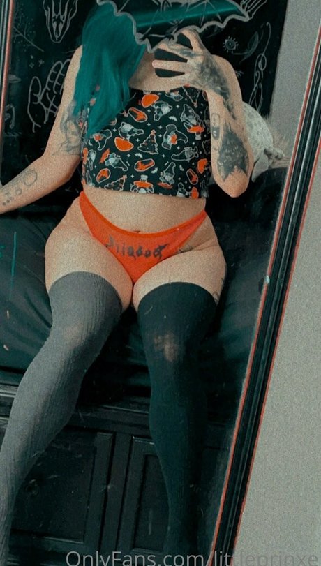 Littleprinxe