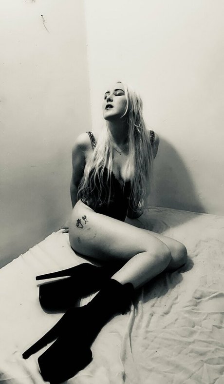 Annanicolevip
