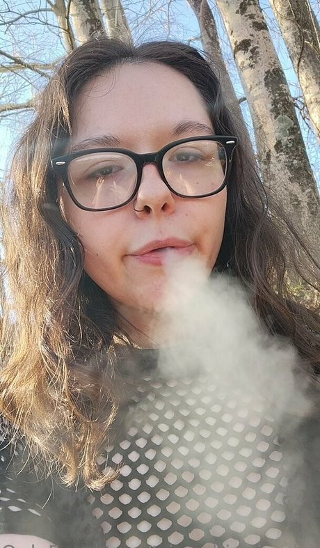 Trippyhippiedemise
