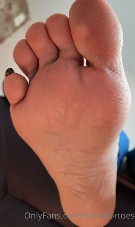 Homefortoes