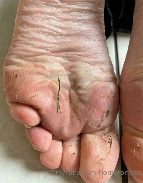 Homefortoes