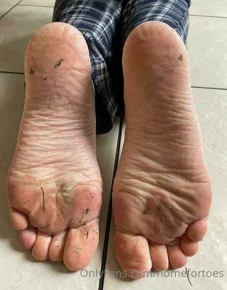 Homefortoes