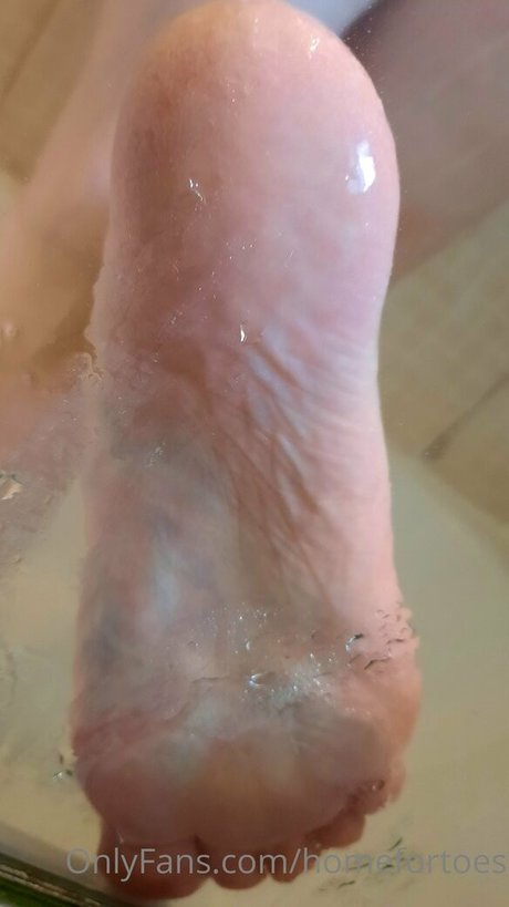 Homefortoes