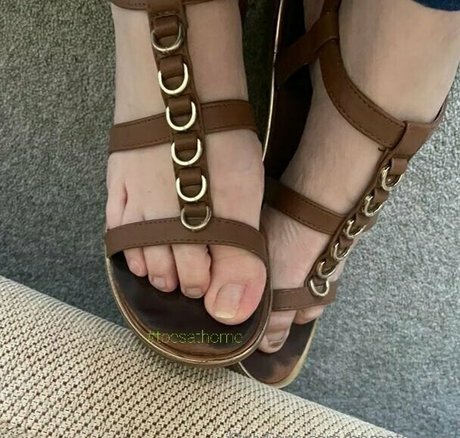 Homefortoes
