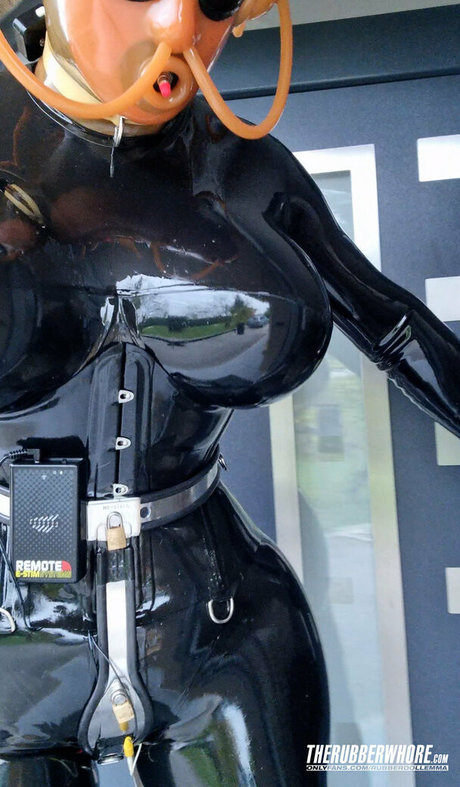 Rubberdollemma