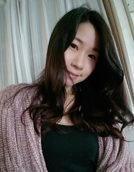 Menischannel