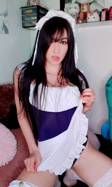 Hakicosmodel