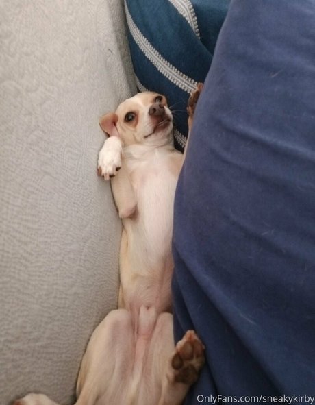 Sneakykirby  nude leaked OnlyFans photo