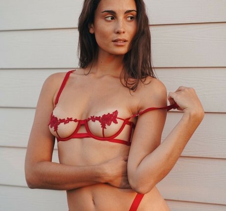 Ariannelayer